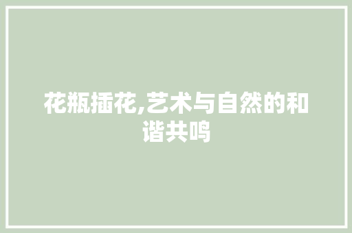 花瓶插花,艺术与自然的和谐共鸣 土壤选择