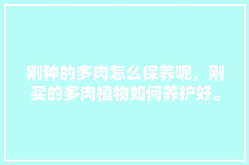刚种的多肉怎么保养呢，刚买的多肉植物如何养护好。