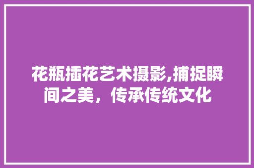 花瓶插花艺术摄影,捕捉瞬间之美，传承传统文化