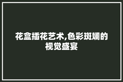 花盒插花艺术,色彩斑斓的视觉盛宴
