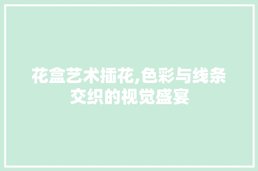 花盒艺术插花,色彩与线条交织的视觉盛宴