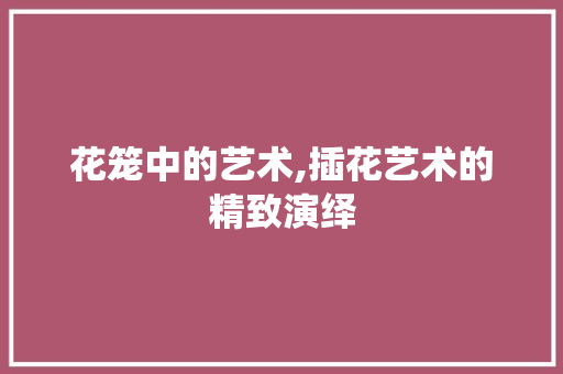 花笼中的艺术,插花艺术的精致演绎