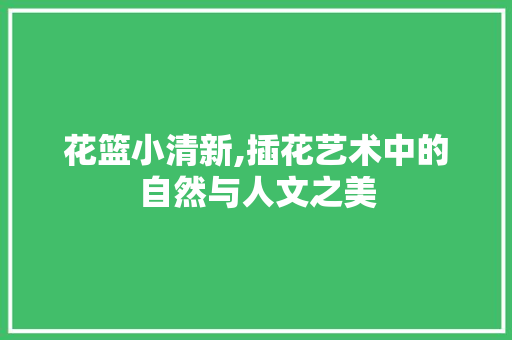 花篮小清新,插花艺术中的自然与人文之美