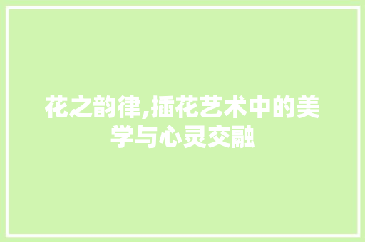 花之韵律,插花艺术中的美学与心灵交融 植物养护