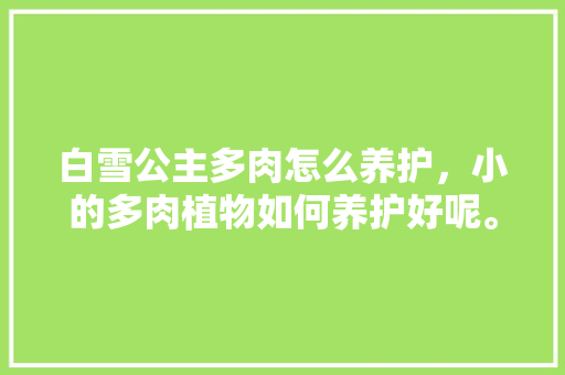 白雪公主多肉怎么养护，小的多肉植物如何养护好呢。