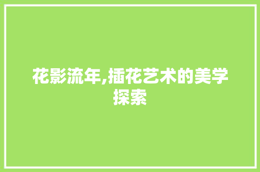 花影流年,插花艺术的美学探索
