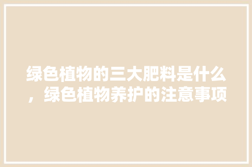 绿色植物的三大肥料是什么，绿色植物养护的注意事项有哪些。  第1张 绿色植物的三大肥料是什么，绿色植物养护的注意事项有哪些。 植物养护