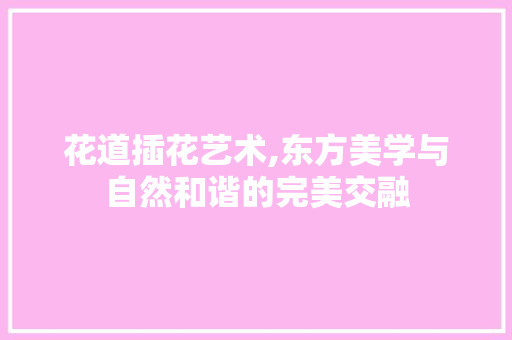 花道插花艺术,东方美学与自然和谐的完美交融