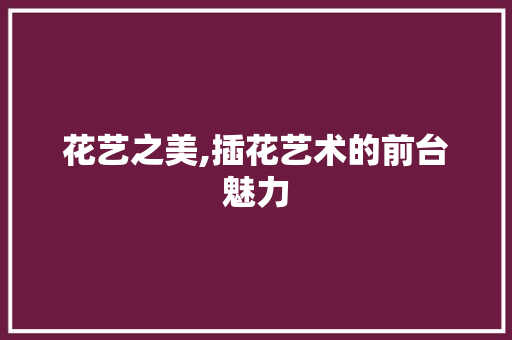 花艺之美,插花艺术的前台魅力 植物养护