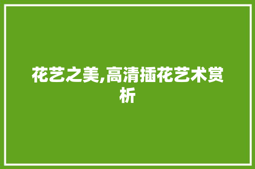 花艺之美,高清插花艺术赏析