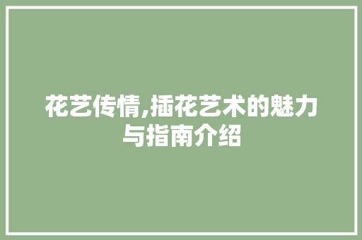 花艺传情,插花艺术的魅力与指南介绍 养护技巧