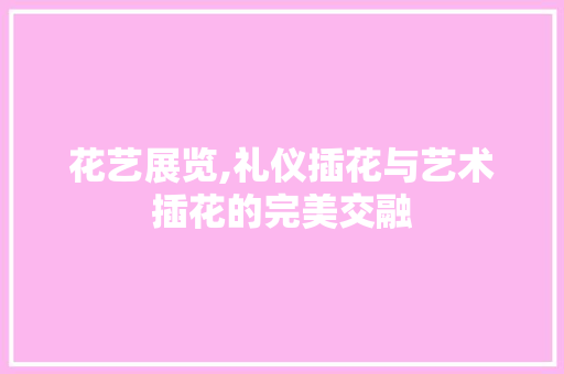 花艺展览,礼仪插花与艺术插花的完美交融 爬藤植物