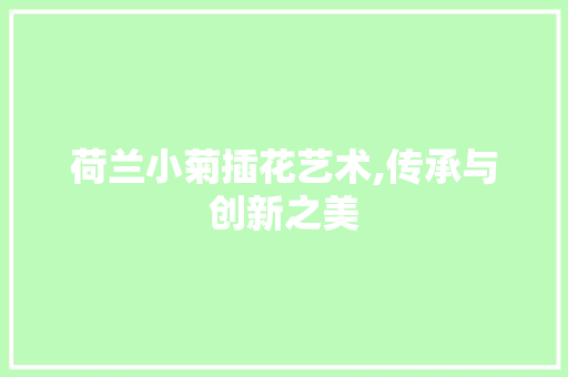 荷兰小菊插花艺术,传承与创新之美
