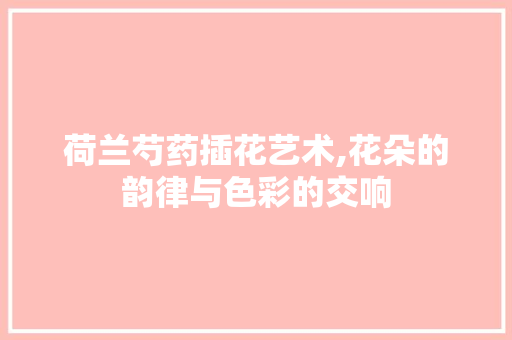 荷兰芍药插花艺术,花朵的韵律与色彩的交响