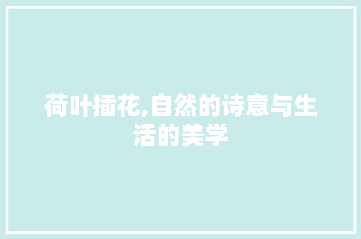 荷叶插花,自然的诗意与生活的美学