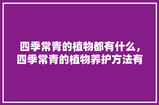 四季常青的植物都有什么，四季常青的植物养护方法有哪些。