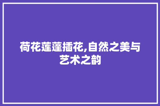 荷花莲蓬插花,自然之美与艺术之韵