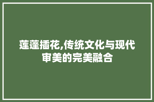 莲蓬插花,传统文化与现代审美的完美融合