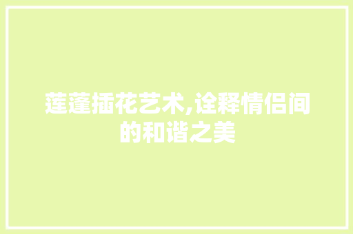 莲蓬插花艺术,诠释情侣间的和谐之美