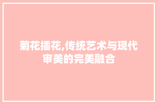 菊花插花,传统艺术与现代审美的完美融合