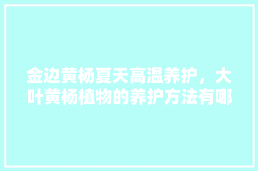 金边黄杨夏天高温养护，大叶黄杨植物的养护方法有哪些。
