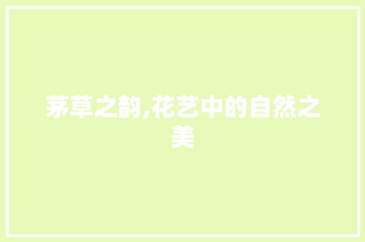 茅草之韵,花艺中的自然之美 树木