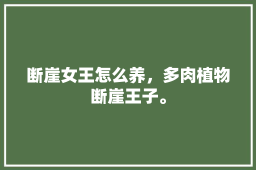 断崖女王怎么养，多肉植物断崖王子。  第1张 断崖女王怎么养，多肉植物断崖王子。 施肥方法