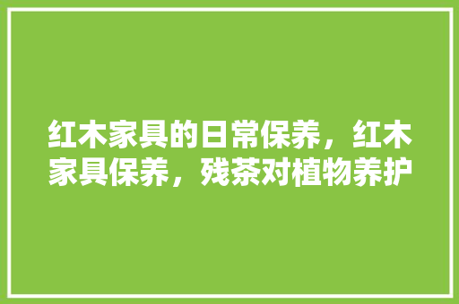 红木家具的日常保养，红木家具保养，残茶对植物养护的作用是什么。