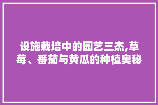 设施栽培中的园艺三杰,草莓、番茄与黄瓜的种植奥秘
