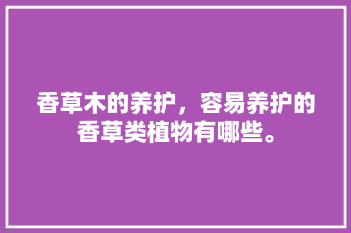 香草木的养护，容易养护的香草类植物有哪些。