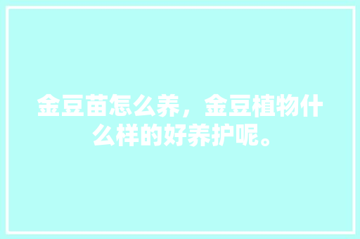 金豆苗怎么养，金豆植物什么样的好养护呢。