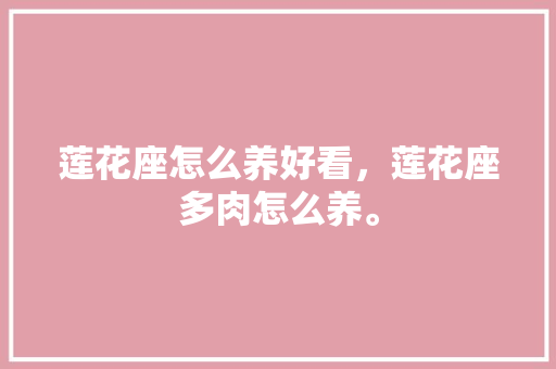莲花座怎么养好看，莲花座多肉怎么养。