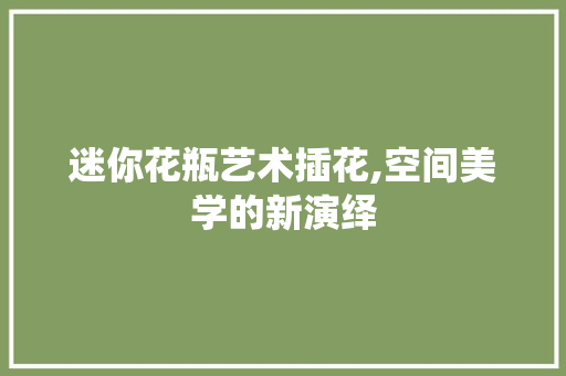 迷你花瓶艺术插花,空间美学的新演绎 土壤管理