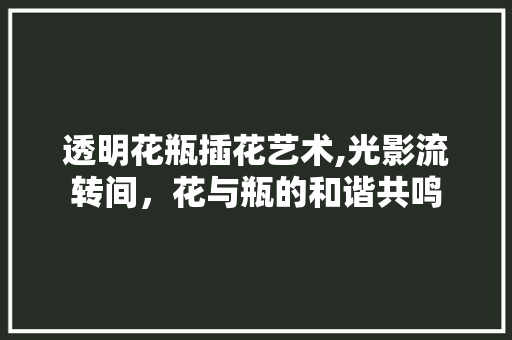 透明花瓶插花艺术,光影流转间，花与瓶的和谐共鸣