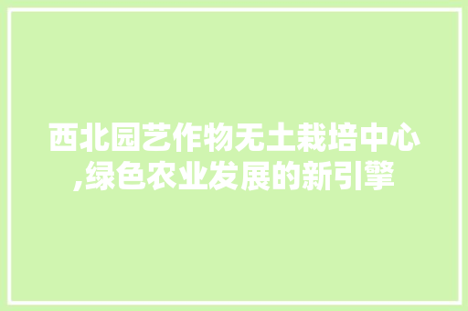 西北园艺作物无土栽培中心,绿色农业发展的新引擎