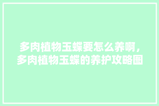 多肉植物玉蝶要怎么养啊，多肉植物玉蝶的养护攻略图解。