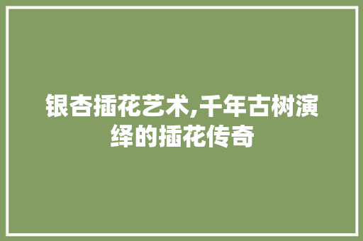 银杏插花艺术,千年古树演绎的插花传奇 树木