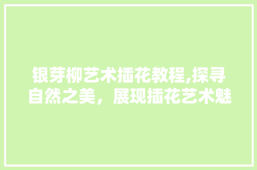 银芽柳艺术插花教程,探寻自然之美，展现插花艺术魅力
