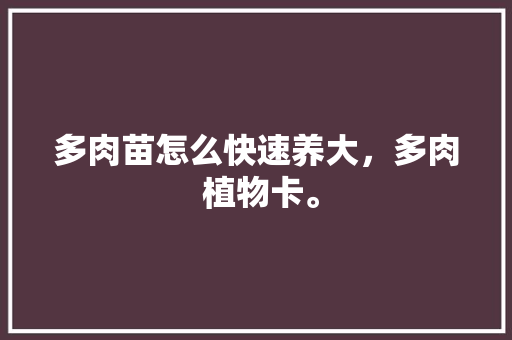多肉苗怎么快速养大，多肉 植物卡。