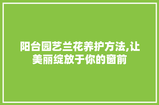 阳台园艺兰花养护方法,让美丽绽放于你的窗前