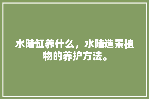水陆缸养什么，水陆造景植物的养护方法。