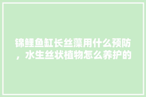 锦鲤鱼缸长丝藻用什么预防，水生丝状植物怎么养护的呢。