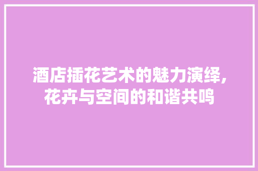 酒店插花艺术的魅力演绎,花卉与空间的和谐共鸣