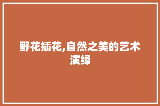 野花插花,自然之美的艺术演绎