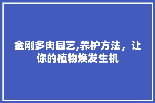 金刚多肉园艺,养护方法，让你的植物焕发生机