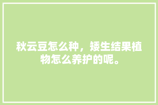 秋云豆怎么种，矮生结果植物怎么养护的呢。