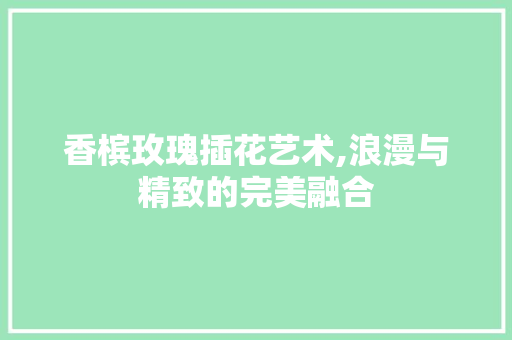 香槟玫瑰插花艺术,浪漫与精致的完美融合