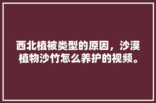 西北植被类型的原因，沙漠植物沙竹怎么养护的视频。