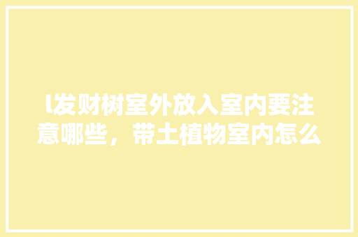 l发财树室外放入室内要注意哪些，带土植物室内怎么养护的视频。