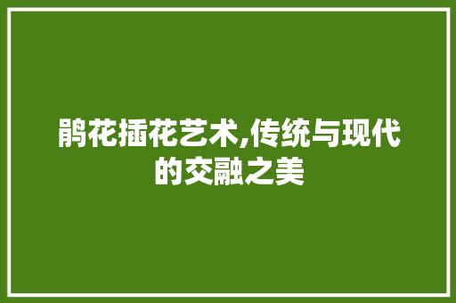 鹃花插花艺术,传统与现代的交融之美